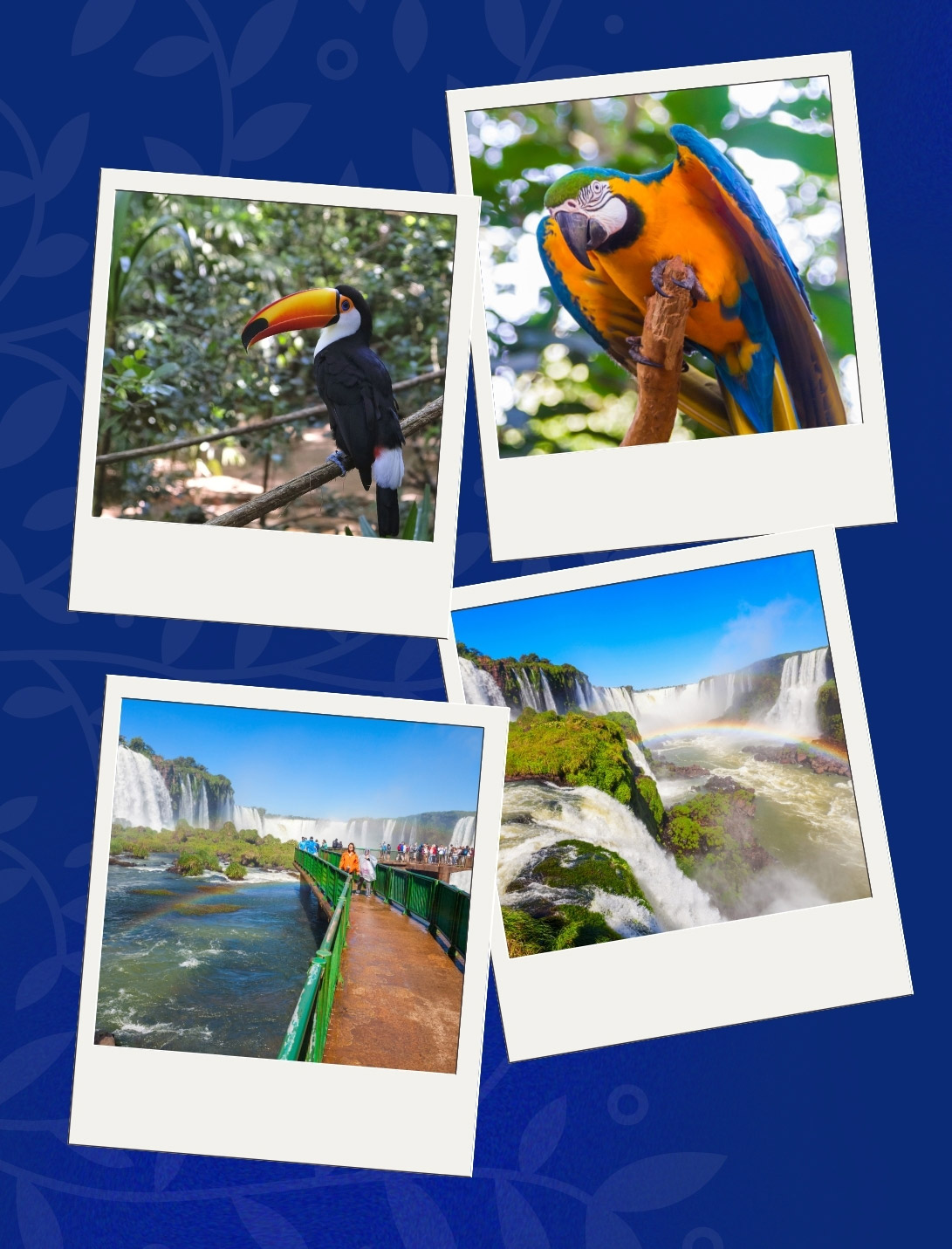 fotos-cataratas