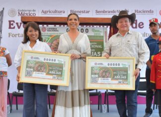 Día Nacional de las Abejas: Lotería Nacional de México promueve la sostenibilidad ambiental y el desarrollo rural en Yucatán
